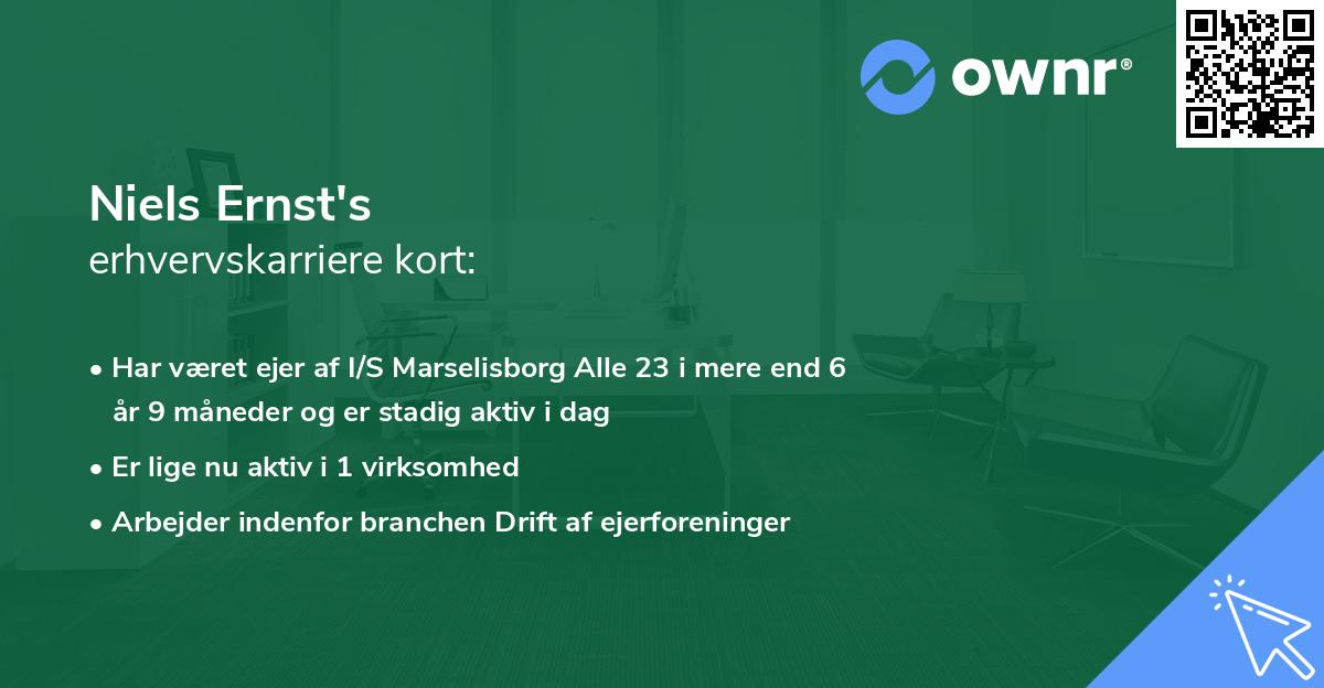 Niels Ernst's erhvervskarriere kort