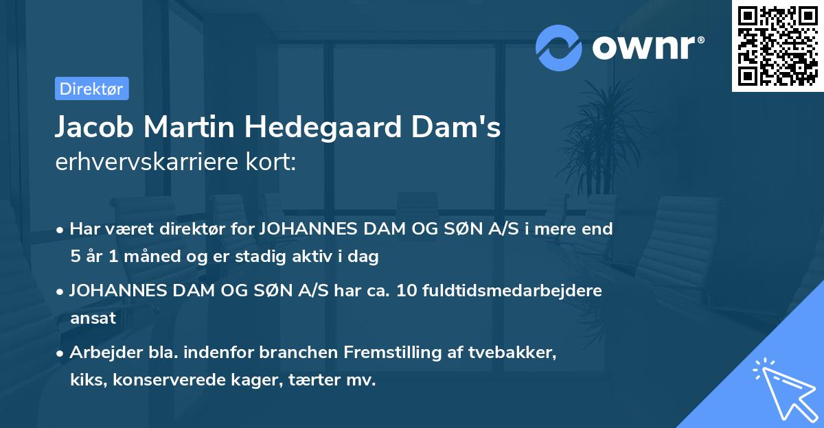 Jacob Martin Hedegaard Dam's erhvervskarriere kort