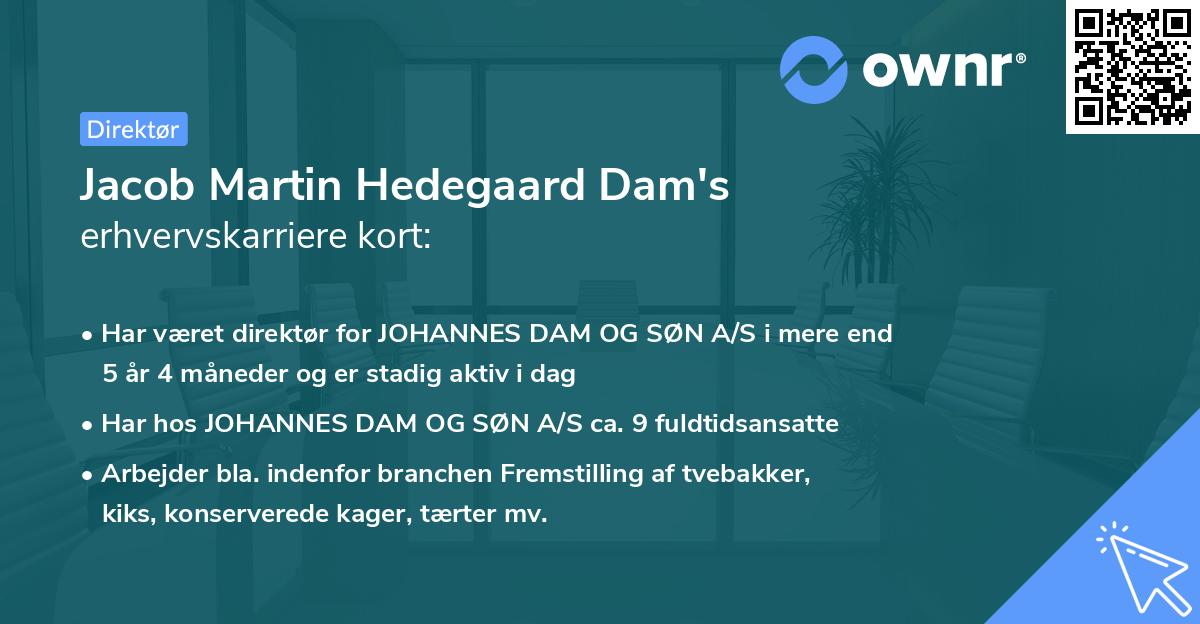 Jacob Martin Hedegaard Dam's erhvervskarriere kort