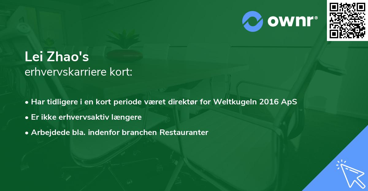 Lei Zhao's erhvervskarriere kort