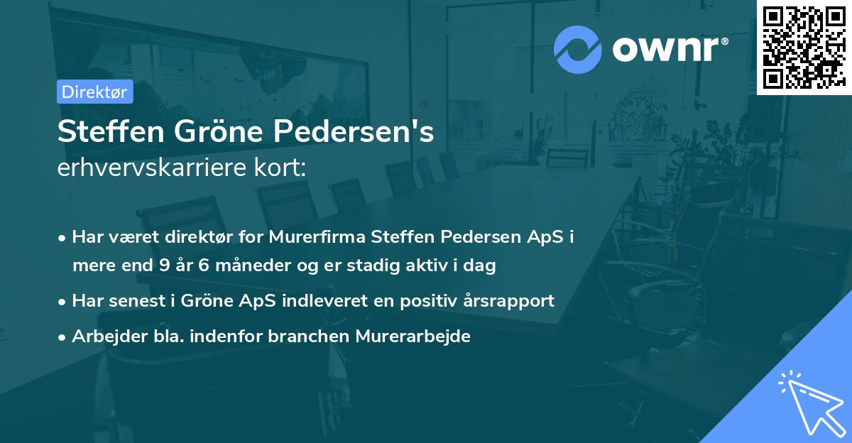 Steffen Gröne Pedersen's erhvervskarriere kort