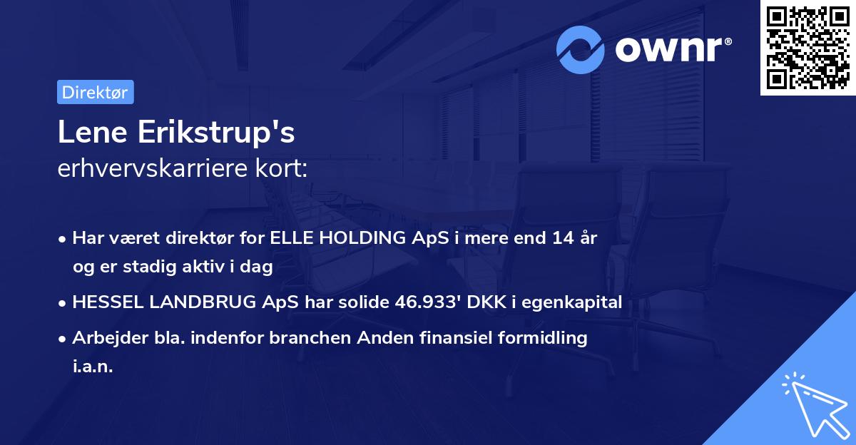Lene Erikstrup's erhvervskarriere kort