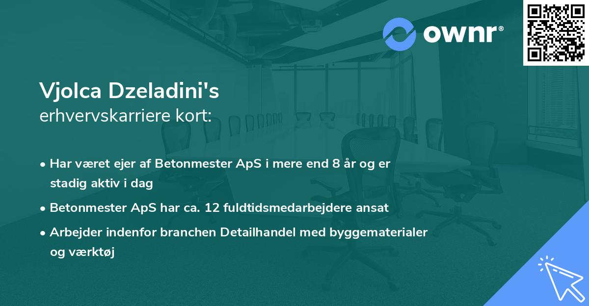 Vjolca Dzeladini's erhvervskarriere kort