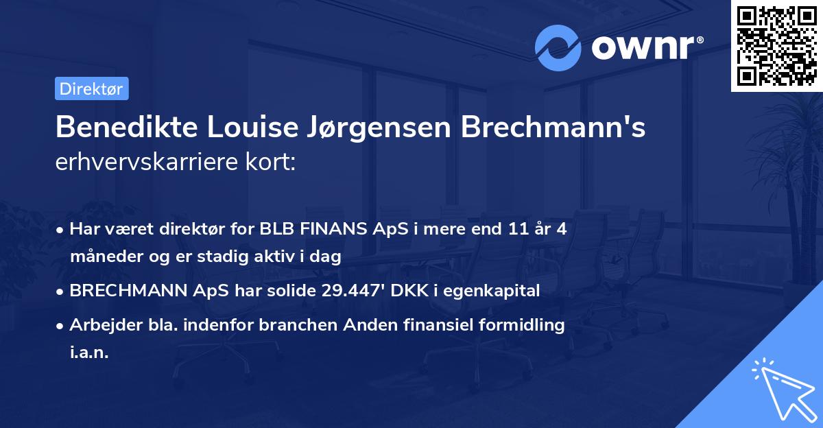 Benedikte Louise Jørgensen Brechmann's erhvervskarriere kort