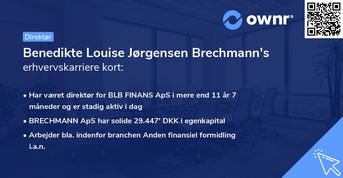 Benedikte Louise Jørgensen Brechmann's erhvervskarriere kort