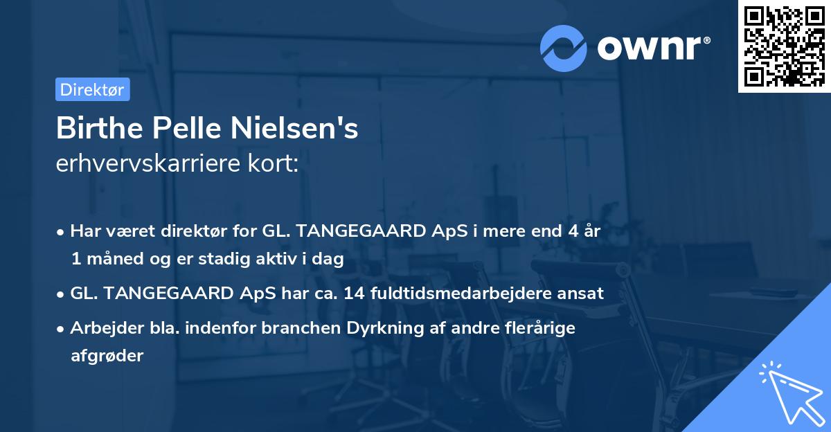 Birthe Pelle Nielsen's erhvervskarriere kort