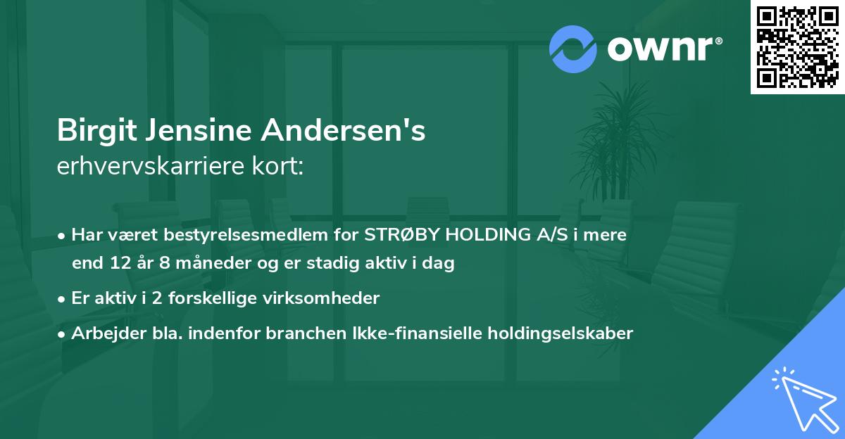 Birgit Jensine Andersen's erhvervskarriere kort