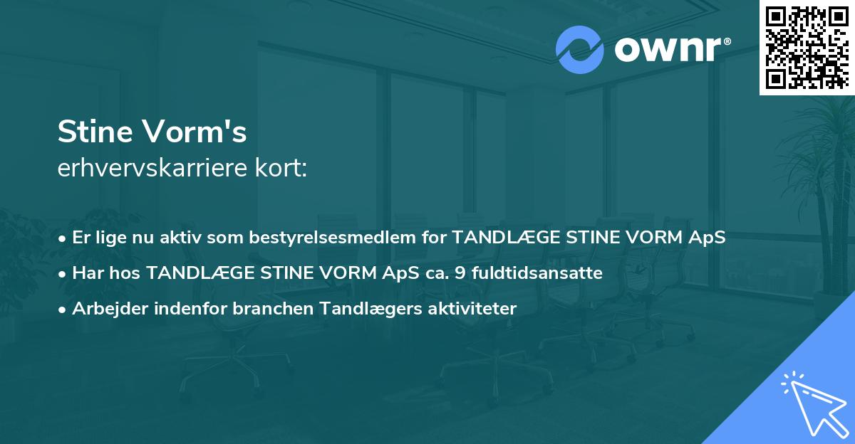 Stine Vorm's erhvervskarriere kort