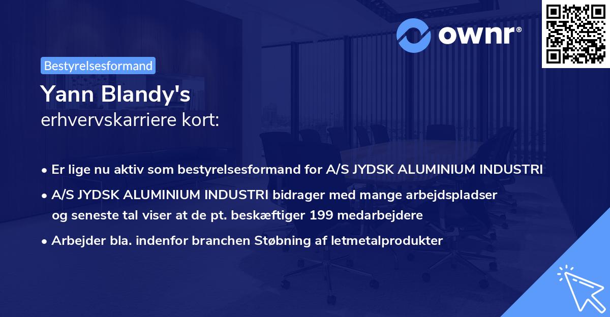 Yann Blandy's erhvervskarriere kort