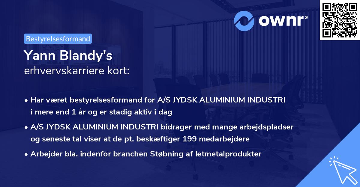 Yann Blandy's erhvervskarriere kort