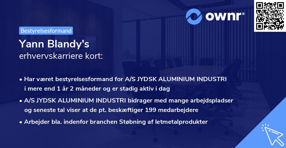 Yann Blandy's erhvervskarriere kort