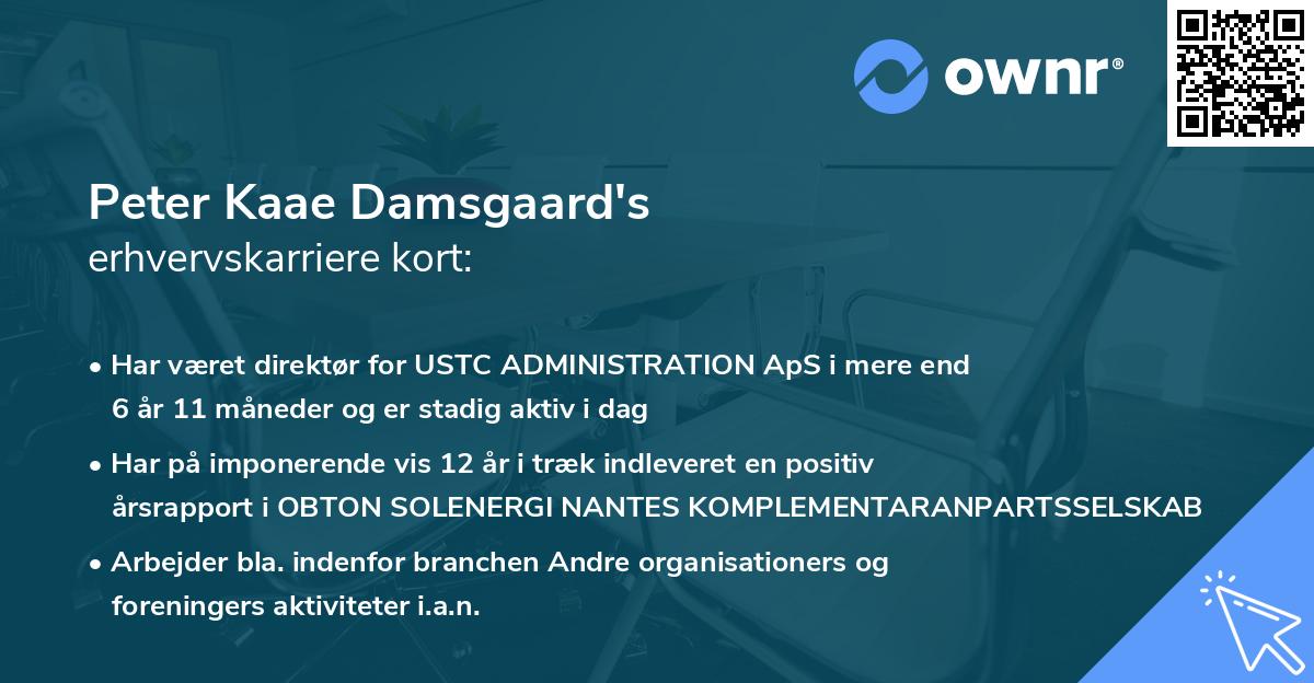 Peter Kaae Damsgaard's erhvervskarriere kort