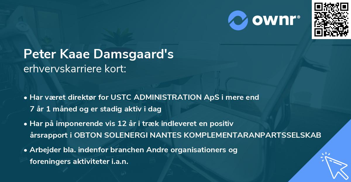 Peter Kaae Damsgaard's erhvervskarriere kort