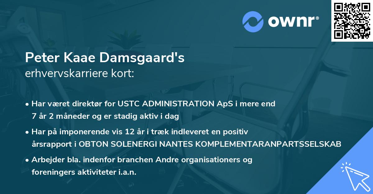 Peter Kaae Damsgaard's erhvervskarriere kort
