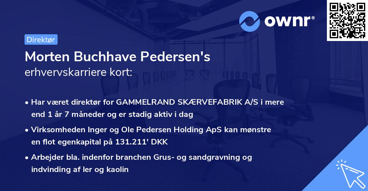 Morten Buchhave Pedersen's erhvervskarriere kort