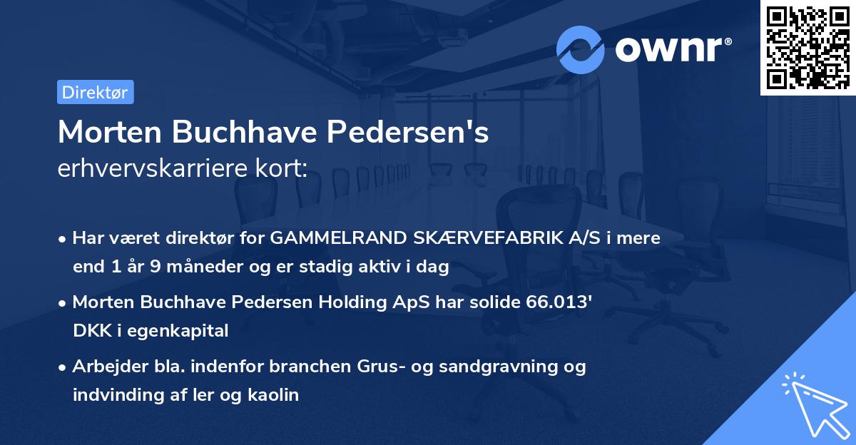 Morten Buchhave Pedersen's erhvervskarriere kort