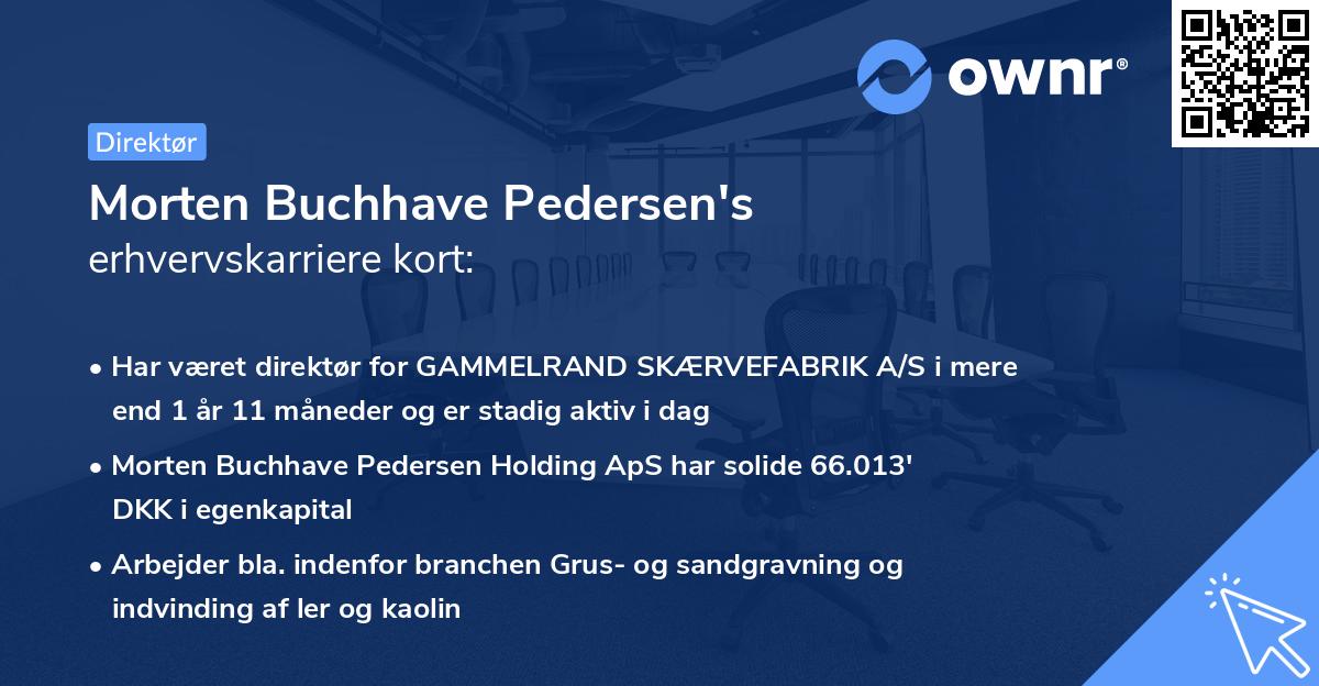 Morten Buchhave Pedersen's erhvervskarriere kort