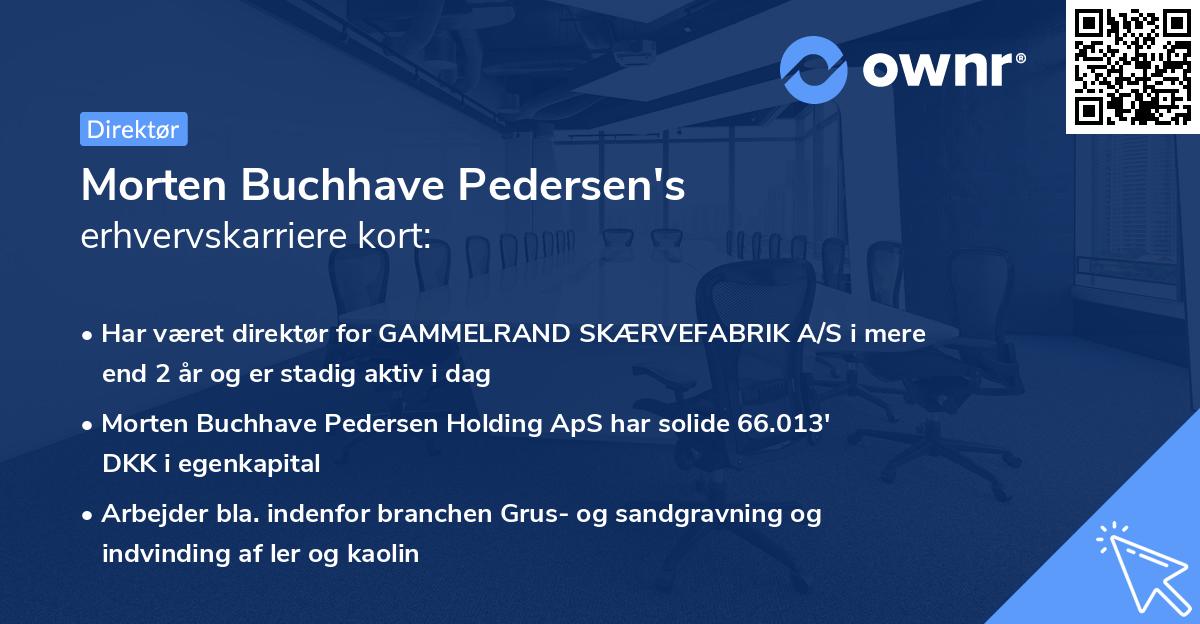Morten Buchhave Pedersen's erhvervskarriere kort