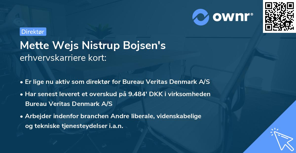 Mette Wejs Nistrup Bojsen's erhvervskarriere kort
