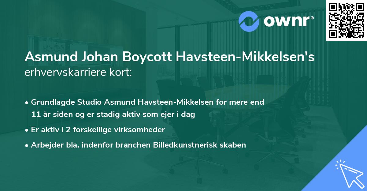 Asmund Johan Boycott Havsteen-Mikkelsen's erhvervskarriere kort