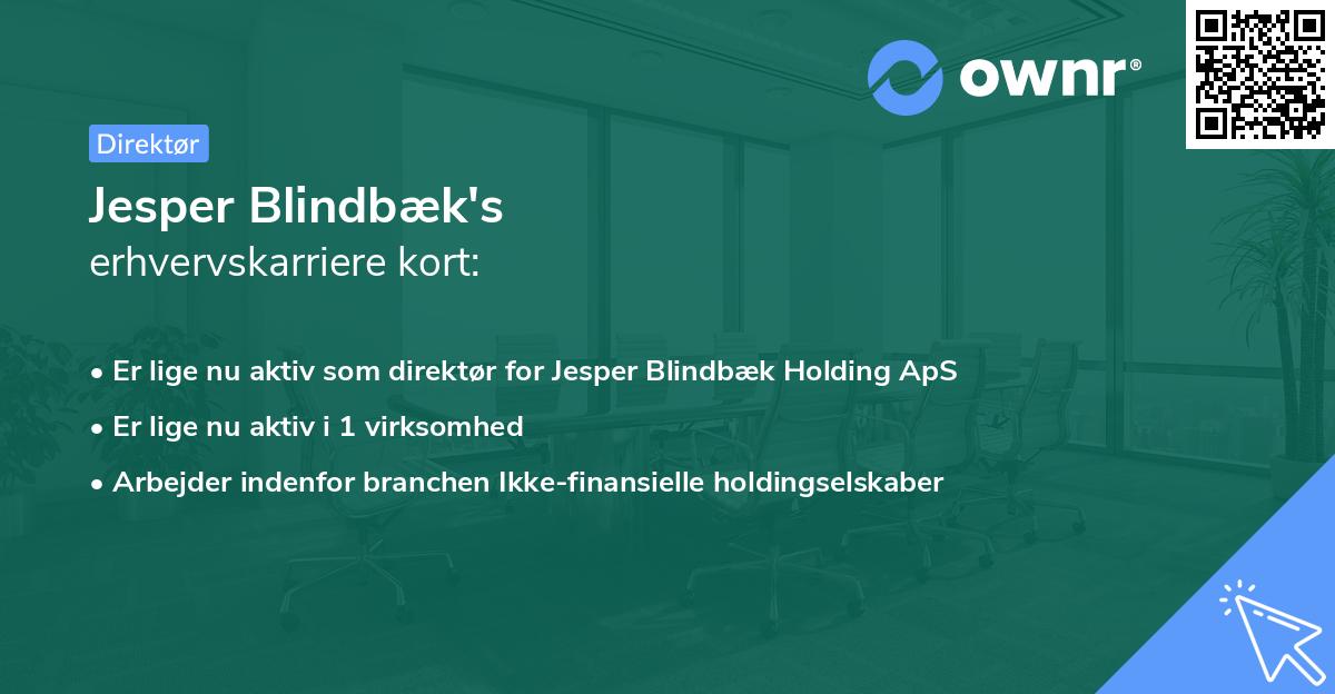 Jesper Blindbæk's erhvervskarriere kort