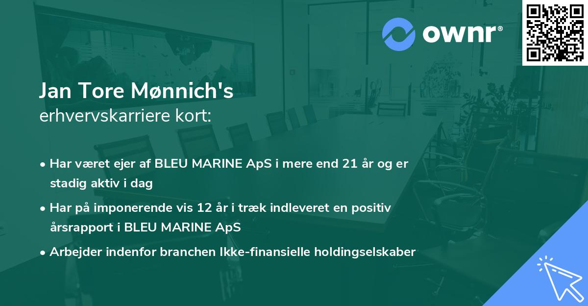 Jan Tore Mønnich's erhvervskarriere kort