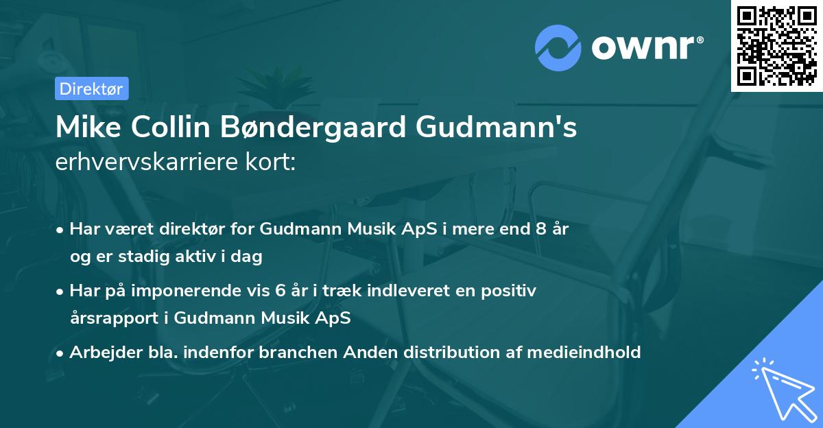 Mike Collin Bøndergaard Gudmann's erhvervskarriere kort