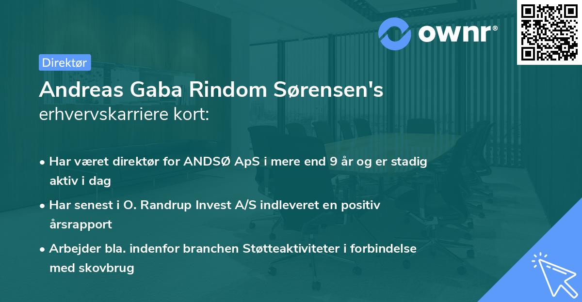 Andreas Gaba Rindom Sørensen's erhvervskarriere kort