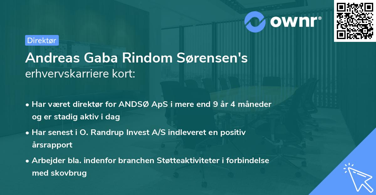 Andreas Gaba Rindom Sørensen's erhvervskarriere kort