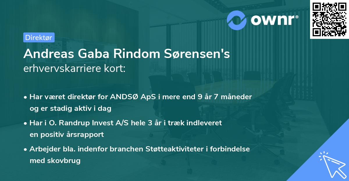 Andreas Gaba Rindom Sørensen's erhvervskarriere kort
