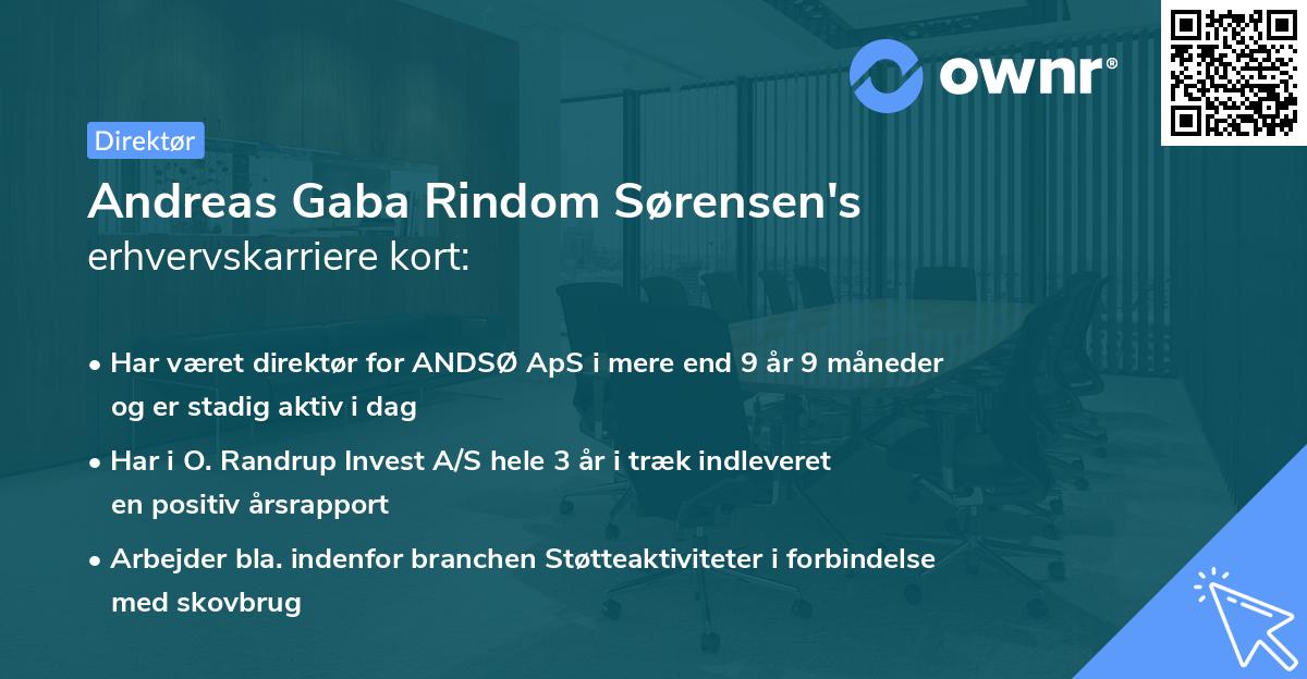 Andreas Gaba Rindom Sørensen's erhvervskarriere kort