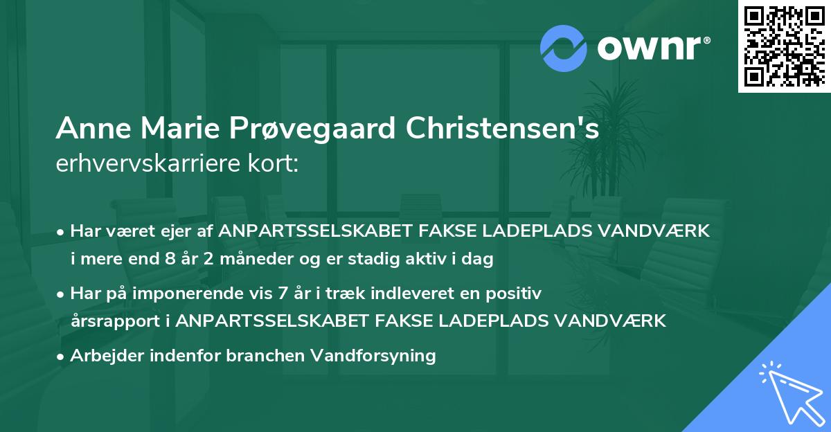 Anne Marie Prøvegaard Christensen's erhvervskarriere kort
