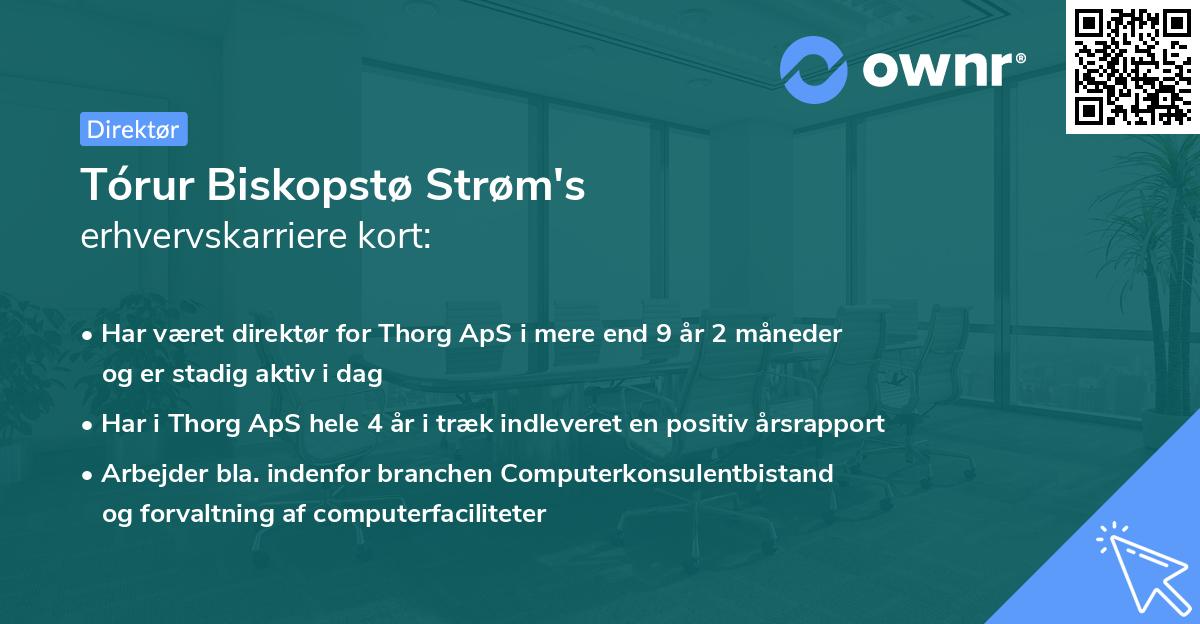 Tórur Biskopstø Strøm's erhvervskarriere kort