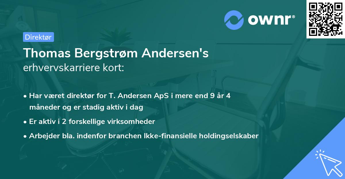 Thomas Bergstrøm Andersen's erhvervskarriere kort