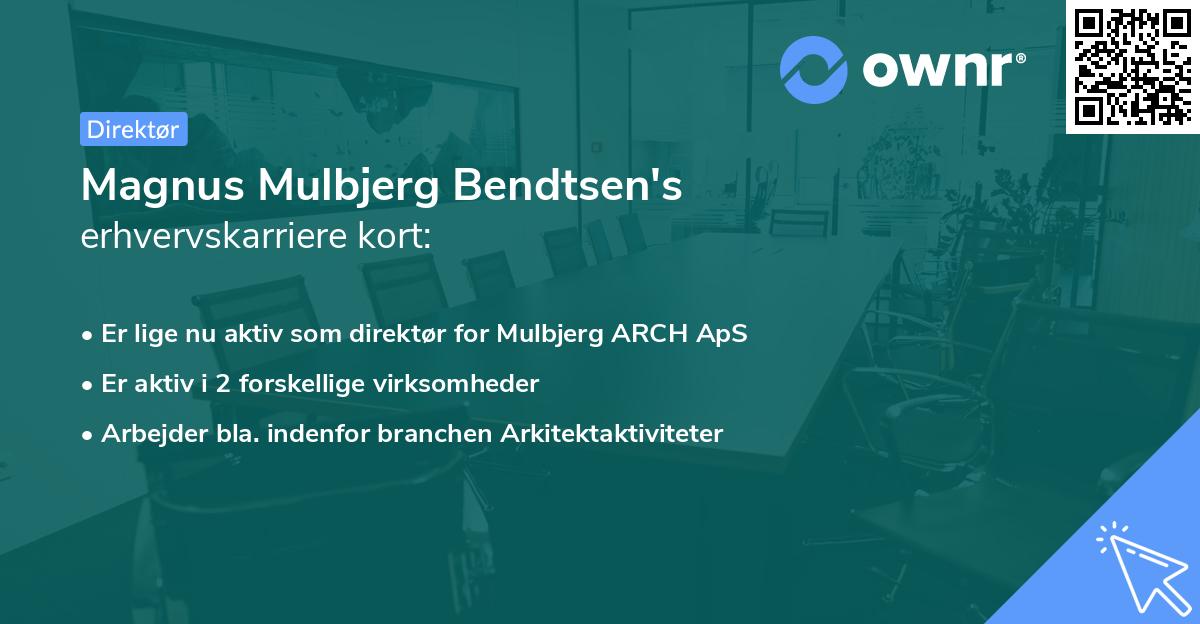 Magnus Mulbjerg Bendtsen's erhvervskarriere kort