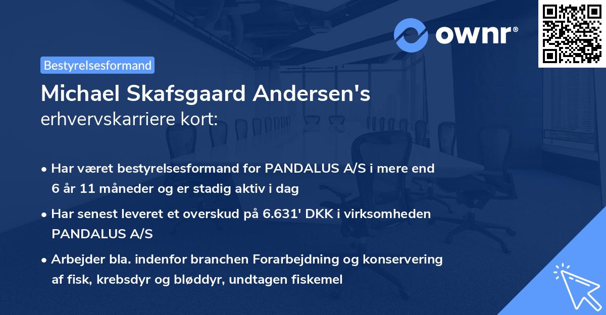 Michael Skafsgaard Andersen's erhvervskarriere kort
