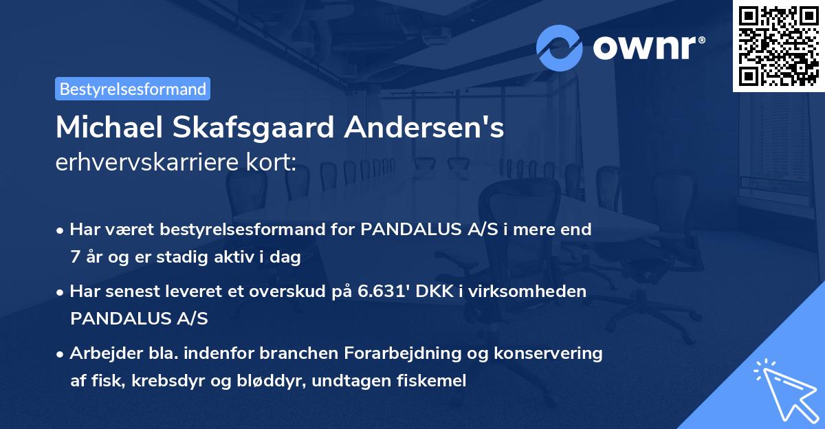 Michael Skafsgaard Andersen's erhvervskarriere kort