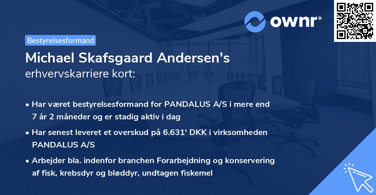 Michael Skafsgaard Andersen's erhvervskarriere kort