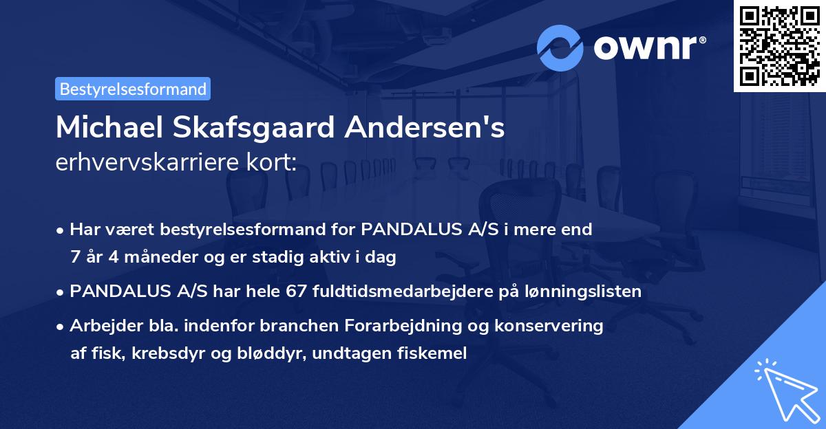 Michael Skafsgaard Andersen's erhvervskarriere kort