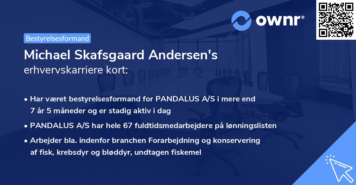 Michael Skafsgaard Andersen's erhvervskarriere kort