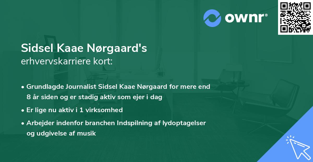 Sidsel Kaae Nørgaard's erhvervskarriere kort