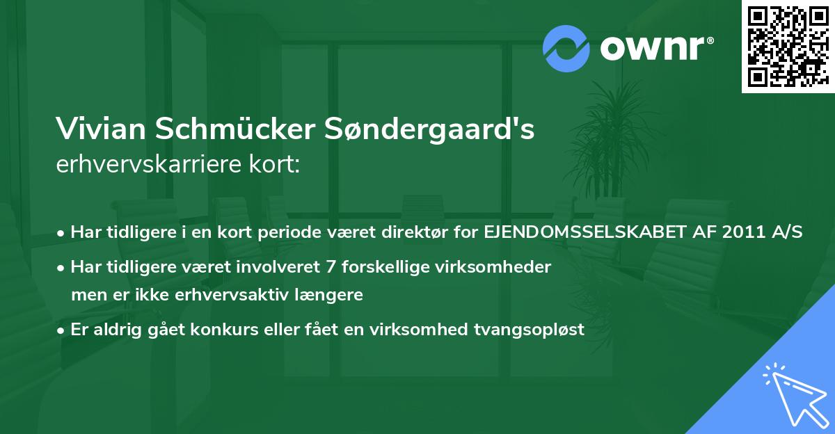 Vivian Schmücker Søndergaard's erhvervskarriere kort