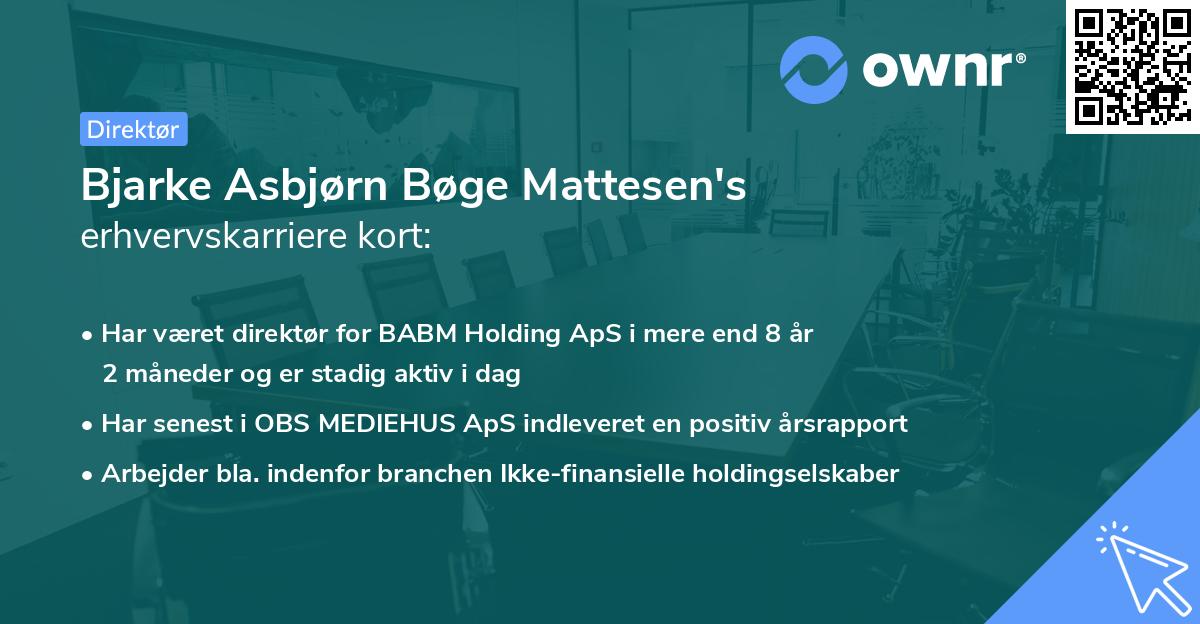 Bjarke Asbjørn Bøge Mattesen's erhvervskarriere kort