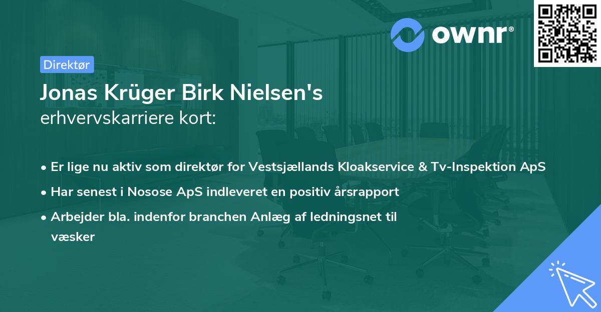 Jonas Krüger Birk Nielsen's erhvervskarriere kort