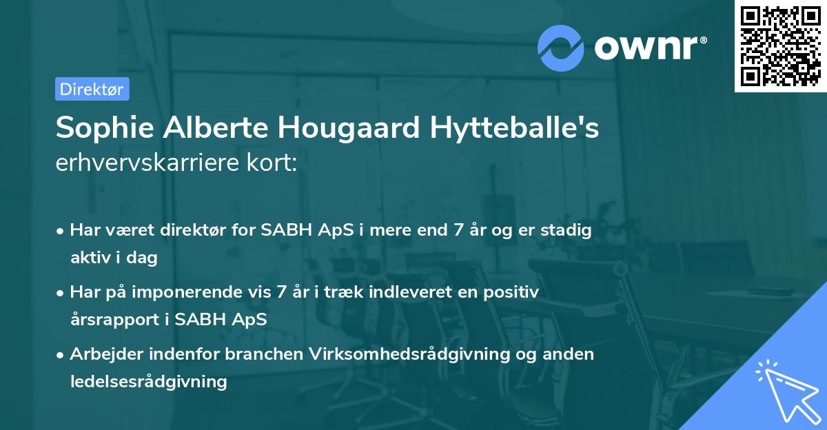 Sophie Alberte Hougaard Hytteballe's erhvervskarriere kort