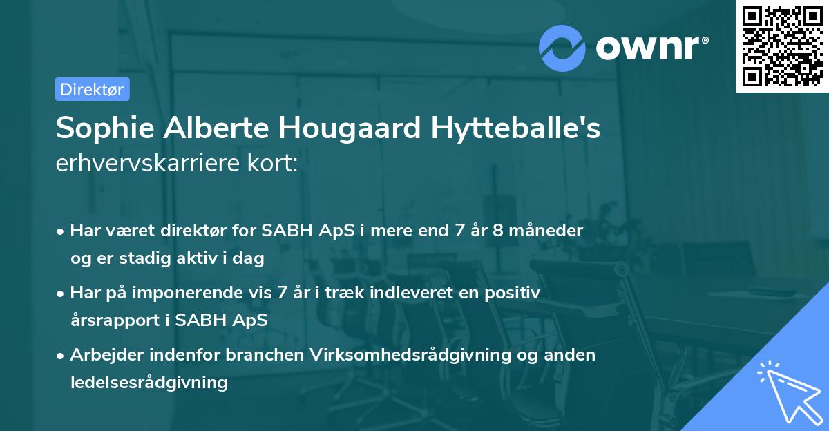 Sophie Alberte Hougaard Hytteballe's erhvervskarriere kort