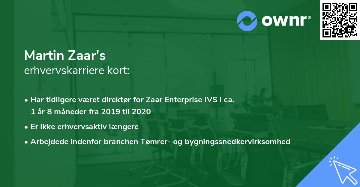 Martin Zaar's erhvervskarriere kort