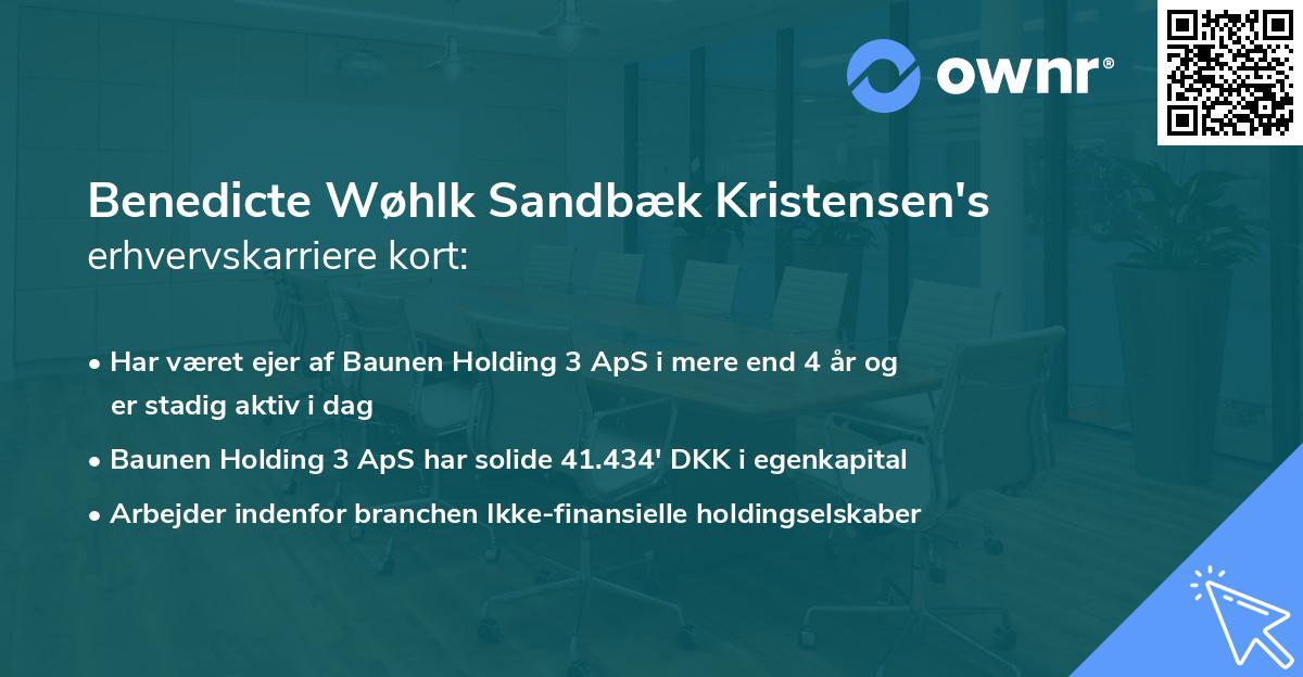 Benedicte Wøhlk Sandbæk Kristensen's erhvervskarriere kort