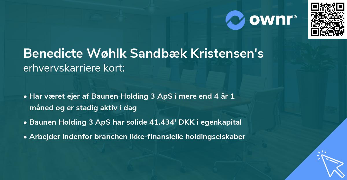Benedicte Wøhlk Sandbæk Kristensen's erhvervskarriere kort