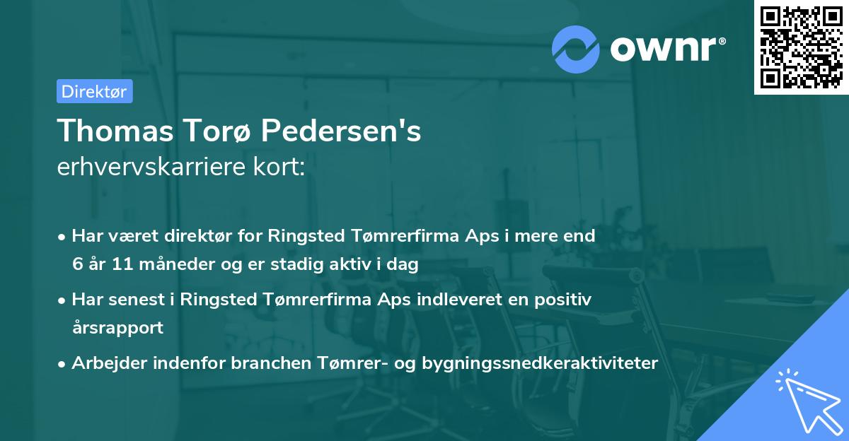Thomas Torø Pedersen's erhvervskarriere kort
